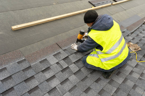 Best Roof Gutter Cleaning  in Mount Vernon, MD