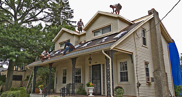 Best Roof Restoration Services  in Mount Vernon, MD